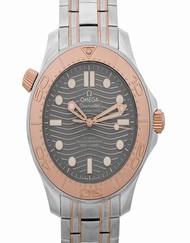 Omega Seamaster 210.60.42.20.99.001