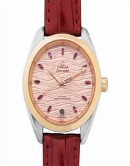 Omega Seamaster 220.23.34.20.60.001