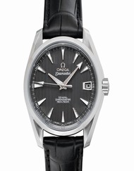 Omega Seamaster 231.13.39.21.06.001