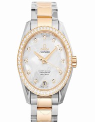 Omega Seamaster 231.25.39.21.55.002