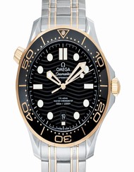 Omega Seamaster 210.20.42.20.01.002