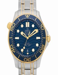 Omega Seamaster 210.20.42.20.03.001