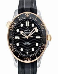 Omega Seamaster 210.22.42.20.01.001