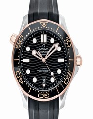 Omega Seamaster 210.22.42.20.01.002