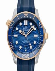 Omega Seamaster 210.22.42.20.03.001