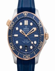 Omega Seamaster 210.22.42.20.03.002