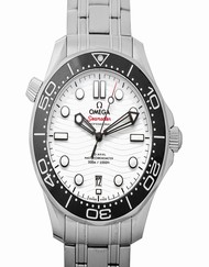 Omega Seamaster 210.30.42.20.04.001