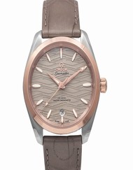 Omega Seamaster 220.23.38.20.06.001