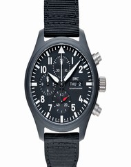 IWC Pilot IW389101