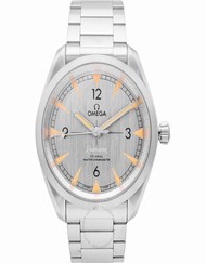 Omega Seamaster 220.10.40.20.06.001