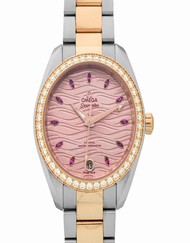 Omega Seamaster 220.25.34.20.60.001