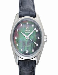 Omega Seamaster 231.13.39.21.57.001