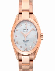 Omega Seamaster 231.50.34.20.55.001