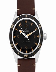 Omega Seamaster 234.32.41.21.01.001
