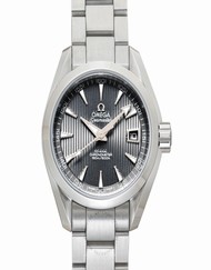 Omega Seamaster 231.10.30.20.06.001