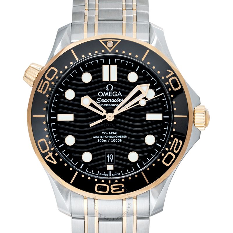 Omega Seamaster 210.20.42.20.01.002