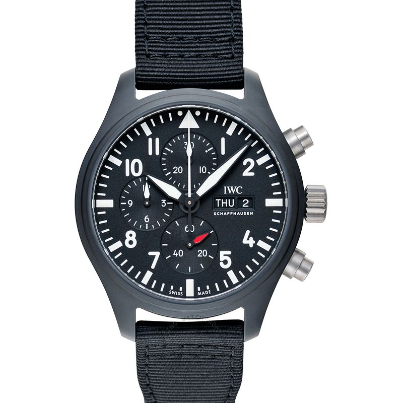 IWC Pilot IW389101