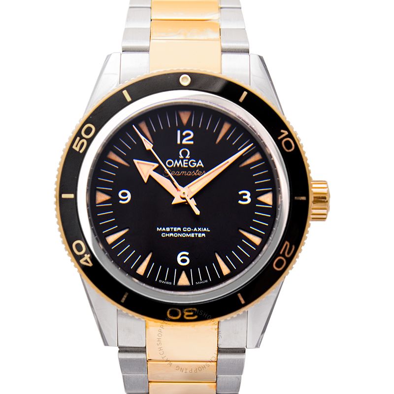 Omega Seamaster 233.20.41.21.01.002