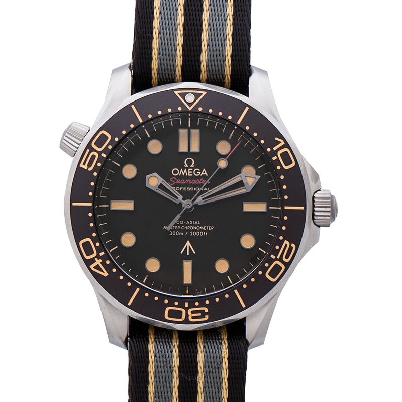 Omega Seamaster 210.92.42.20.01.001