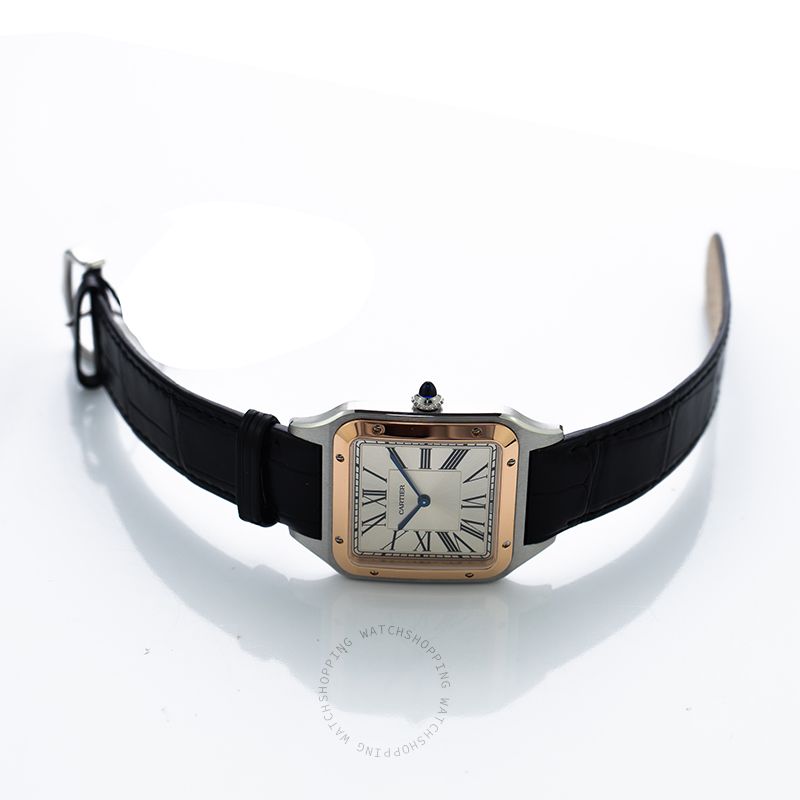 replica Cartier Santos-Dumont W2SA0017 WATCHES 1 
