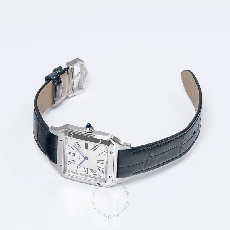 replica Cartier Santos-Dumont WSSA0032 WATCHES 1 
