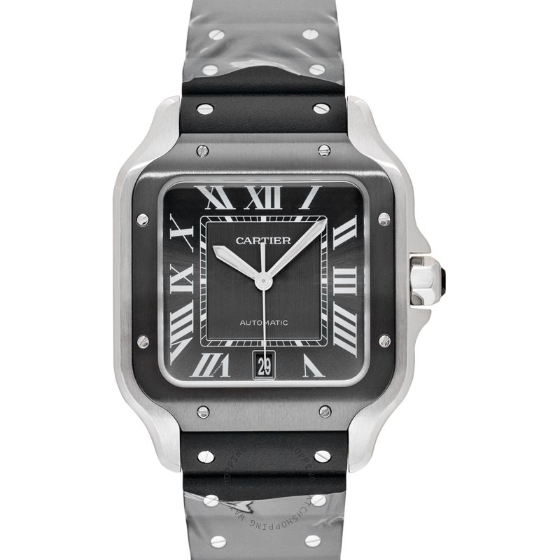 replica Cartier Santos de Cartier WSSA0037 WATCHES 1 