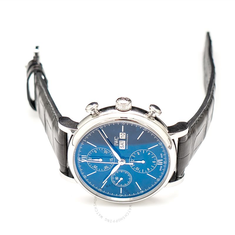 replica IWC Portofino IW391023 WATCHES 1
