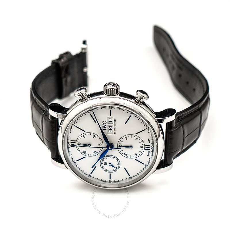 replica IWC Portofino IW391024 WATCHES 1 