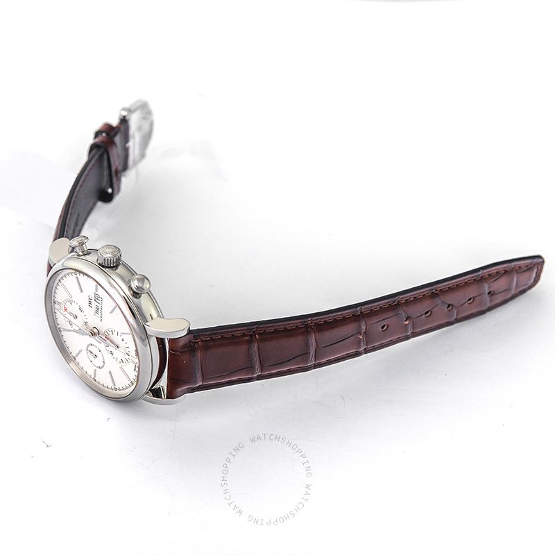 replica IWC Portofino IW391007 WATCHES 1