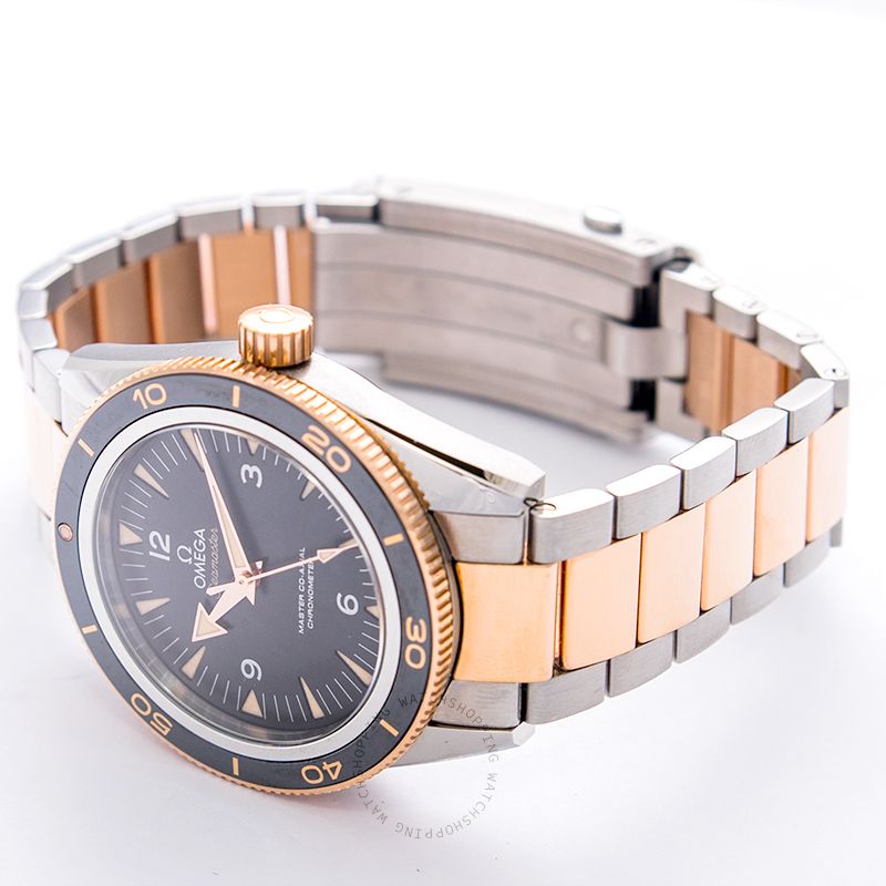 replica Omega Seamaster 233.20.41.21.01.001 WATCHES 1