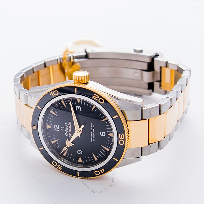replica Omega Seamaster 233.20.41.21.01.002 WATCHES 1