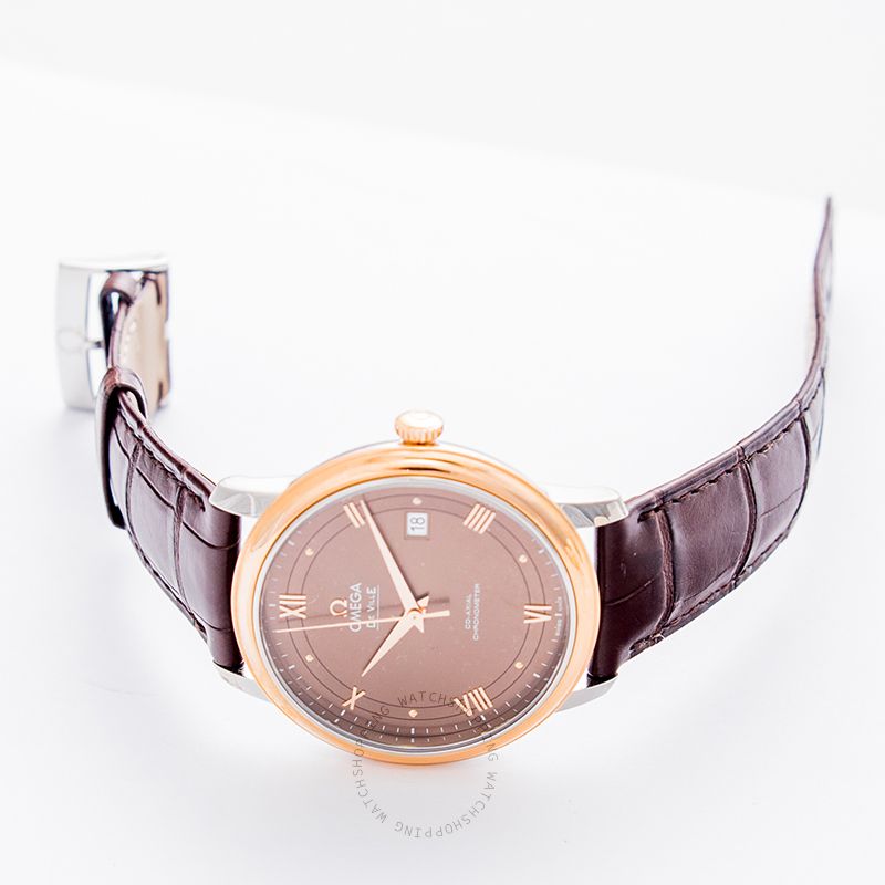 replica Omega De Ville 424.23.40.20.13.001 WATCHES 1