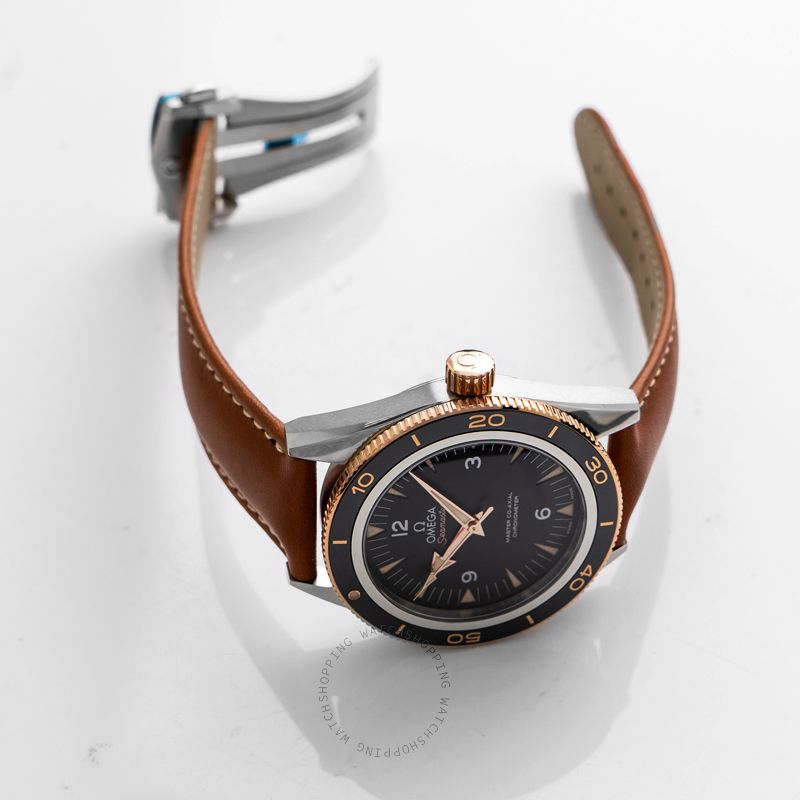 replica Omega Seamaster 233.22.41.21.01.002 WATCHES 1 