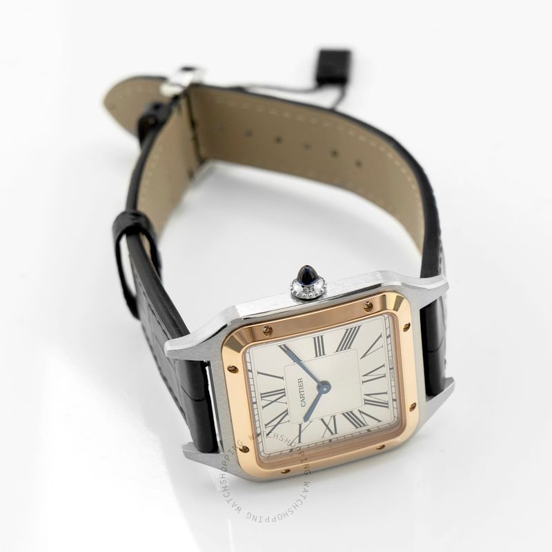 replica Cartier Santos de Cartier W2SA0011 WATCHES 1