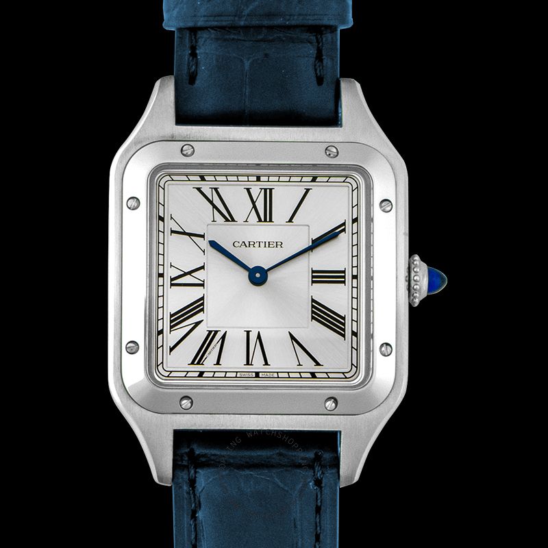 replica Cartier Santos de Cartier WSSA0022 WATCHES 1