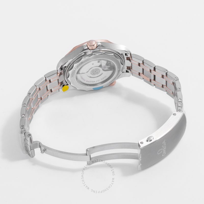 Omega Seamaster 210.20.42.20.01.001 WATCHES 2