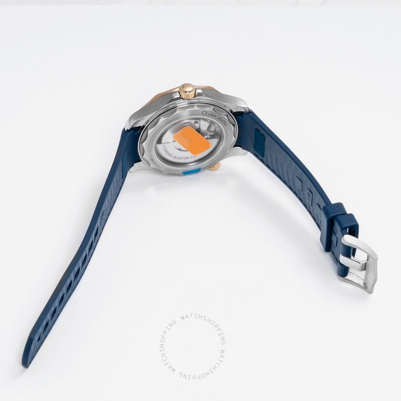 Omega Seamaster 210.22.42.20.03.001 WATCHES 2