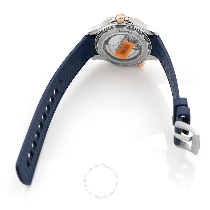 Omega Seamaster 210.22.42.20.03.002 WATCHES 2