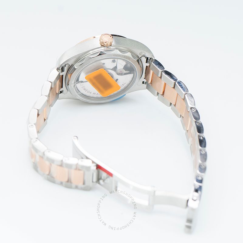 Omega Seamaster 220.20.34.20.06.001 WATCHES 2