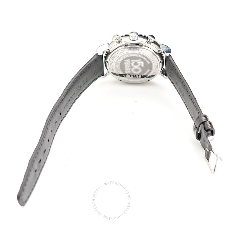 IWC Portofino IW391023 WATCHES 2