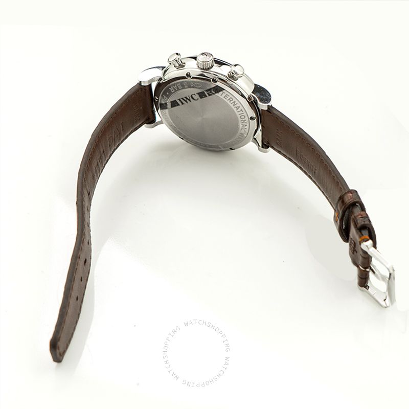 IWC Portofino IW391027 WATCHES 2