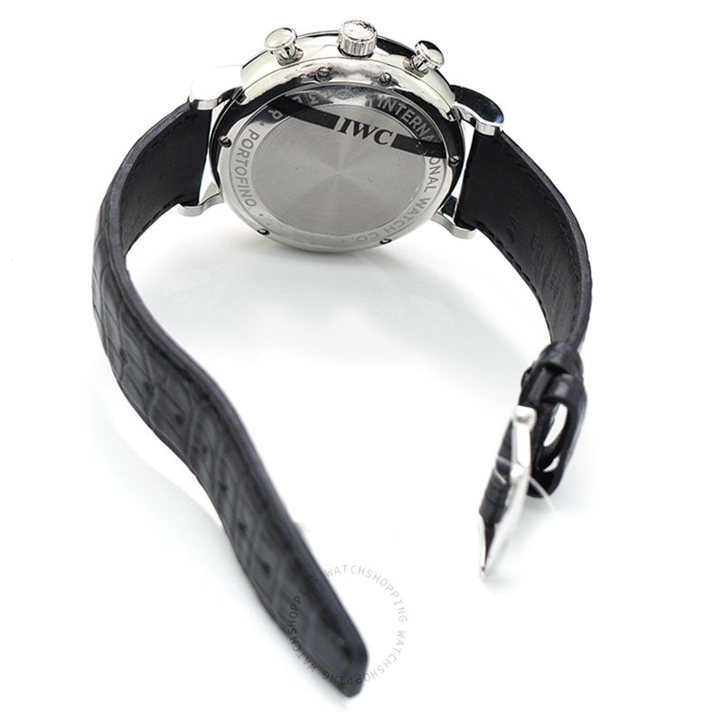 IWC Portofino IW391029 WATCHES 2