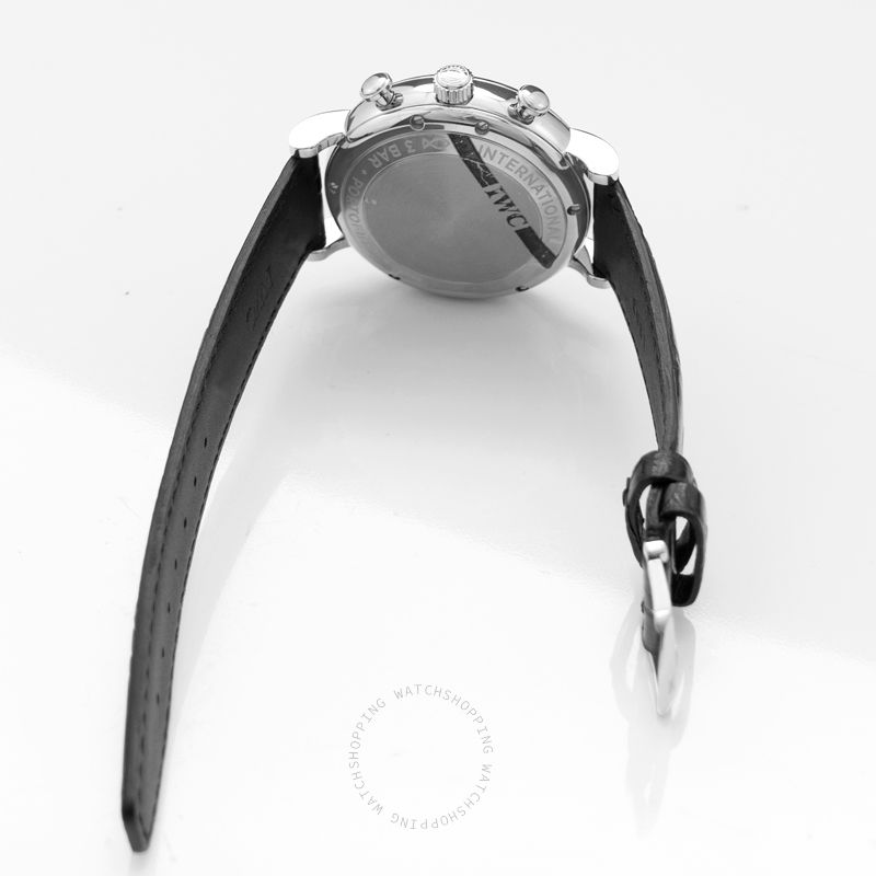 IWC Portofino IW391036 WATCHES 2