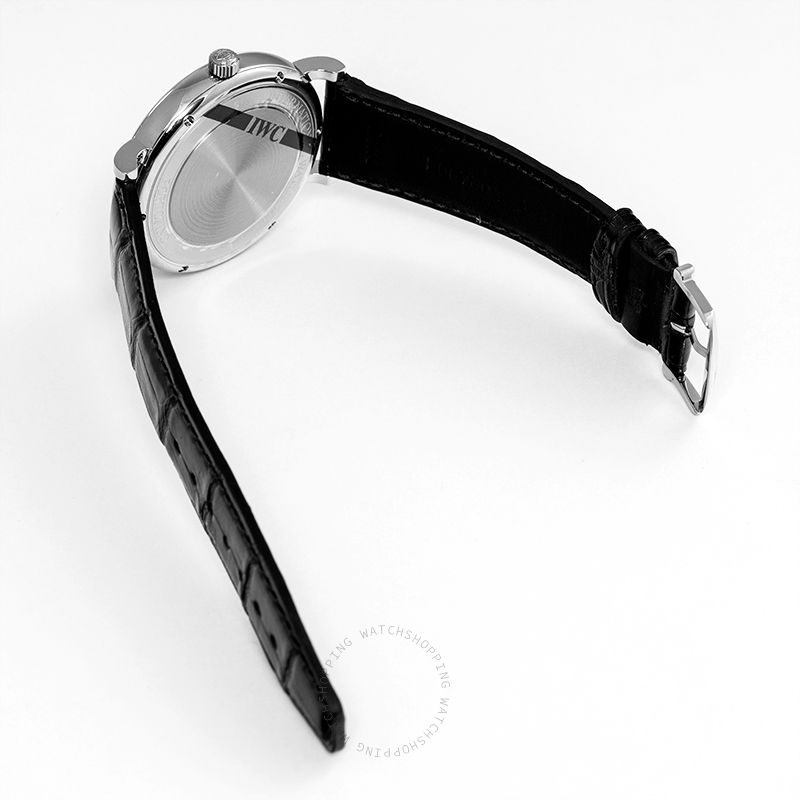 IWC Portofino IW356502 WATCHES 2