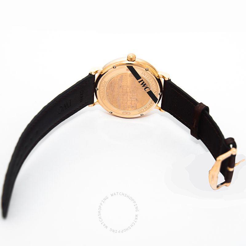 IWC Portofino IW356504 WATCHES 2