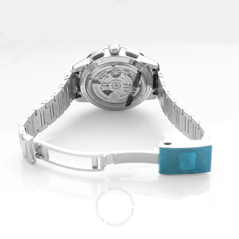 IWC Ingenieur IW380801 WATCHES 2