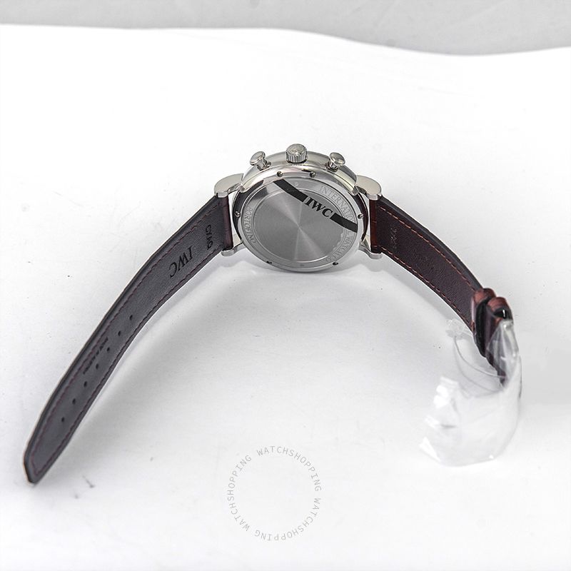 IWC Portofino IW391007 WATCHES 2