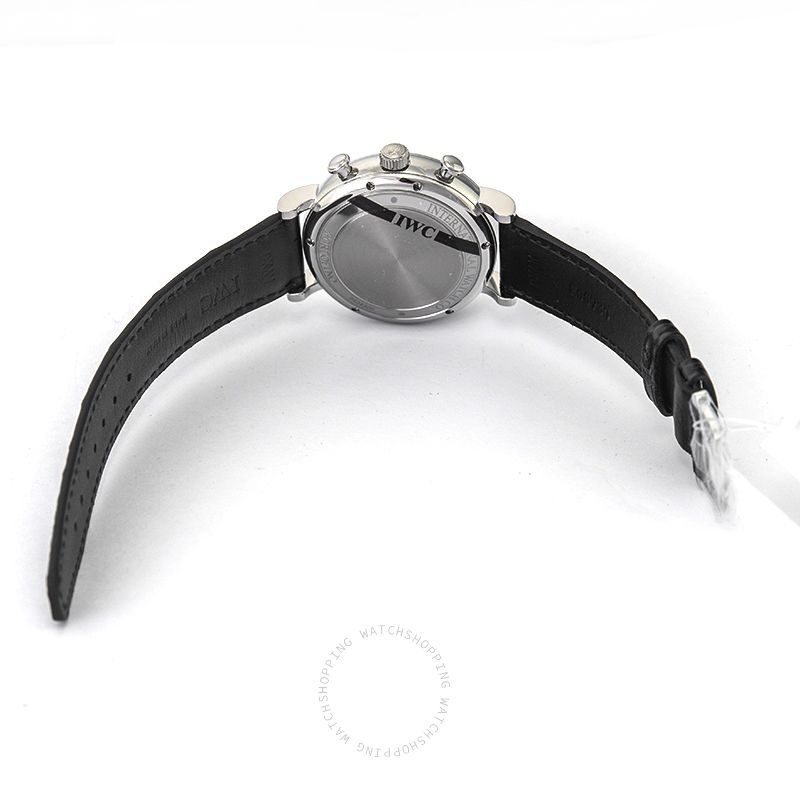IWC Portofino IW391008 WATCHES 2