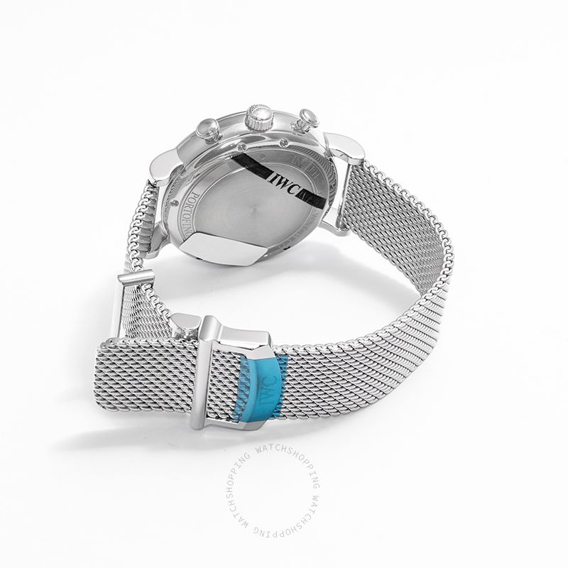 IWC Portofino IW391009 WATCHES 2