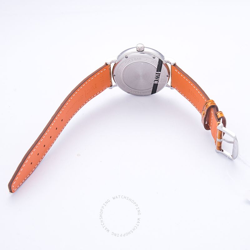 IWC Portofino IW458101 WATCHES 2